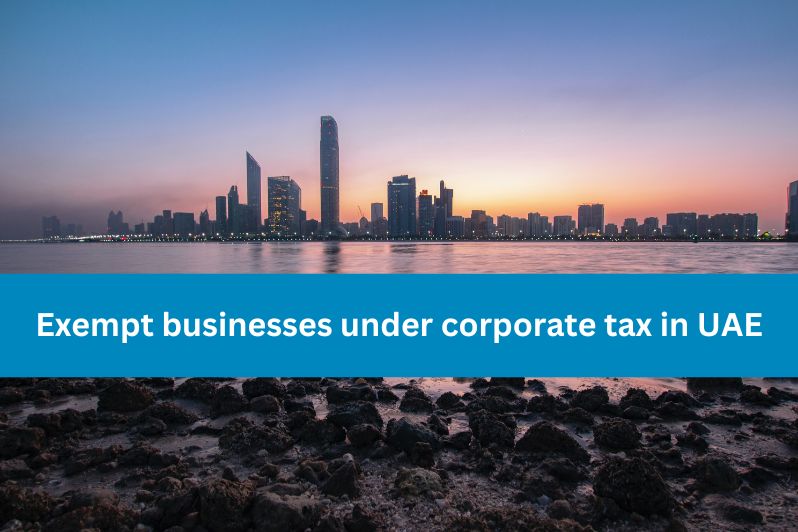 Exempt businesses under corporate tax in UAE