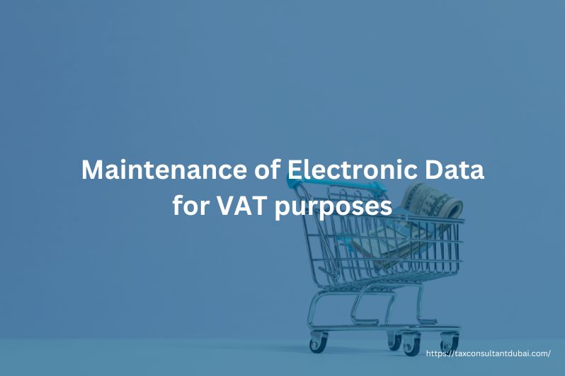 Maintenance of Electronic Data for VAT purposes
