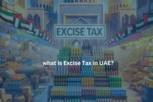 what is excise tax