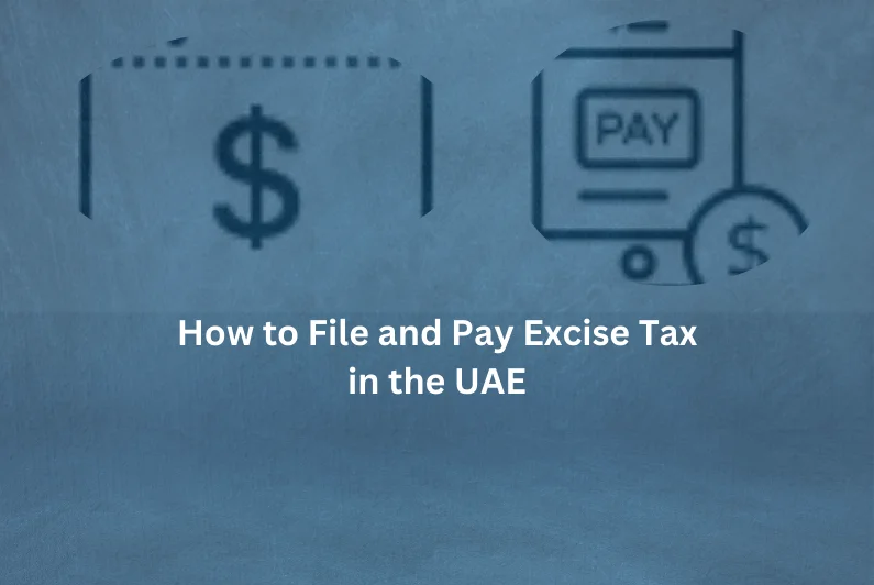 how to file and pay excise tax in uae