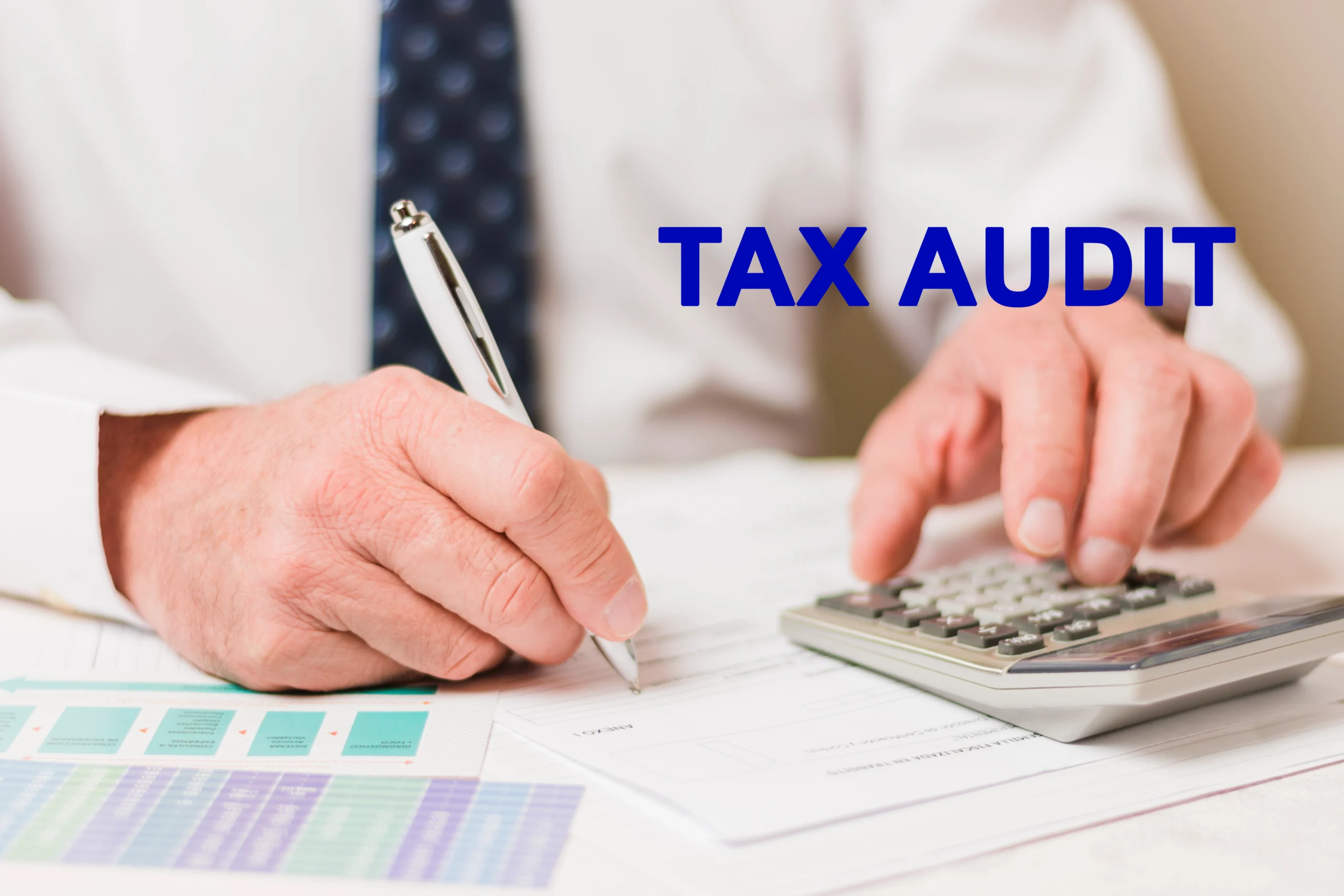 Tax Audits in the UAE
